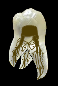 c0609a252f0cc544c973017384d02335_1753164008_9161.png